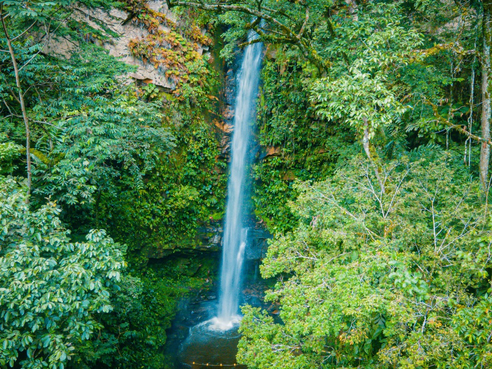 TOUR CATARATAS DE AHUASHIYACU